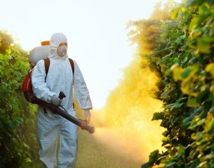 Pesticides cause cancer